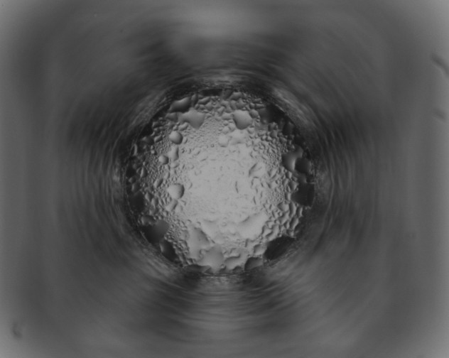 X0000091530381200709071046