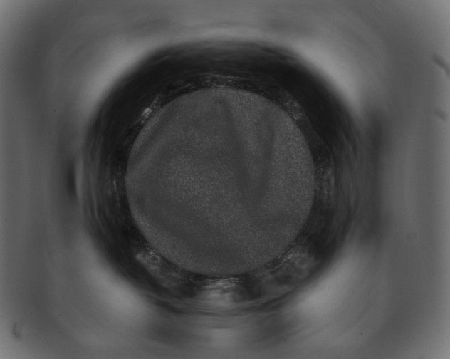 X0000091530382200709071046