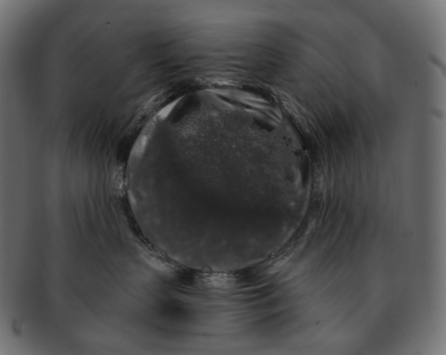X0000091530383200709071046