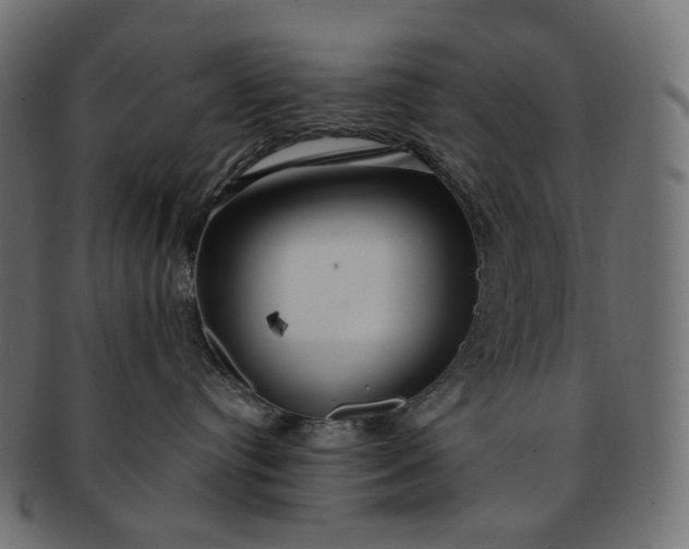 X0000091530384200709071046