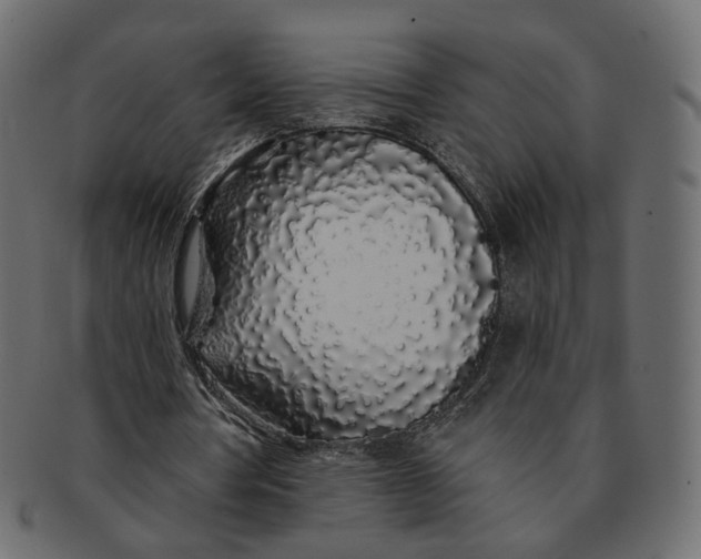 X0000091530386200709071046