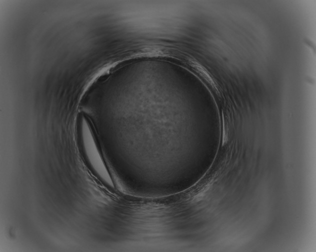 X0000091530387200709071046