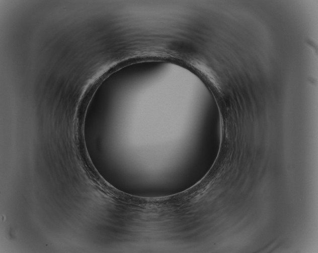 X0000091530388200709071046