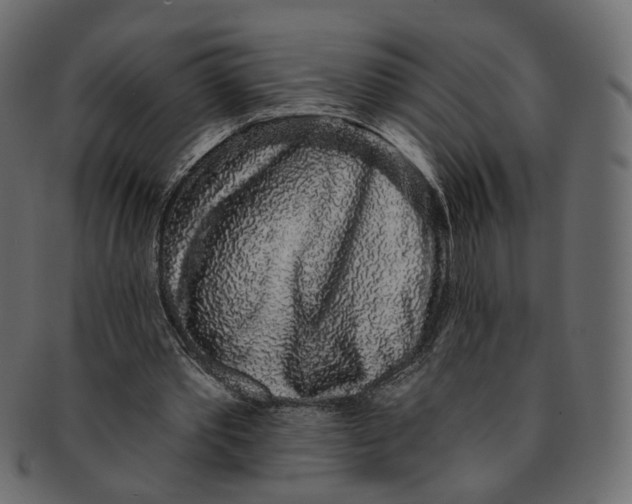 X0000091530389200709071046