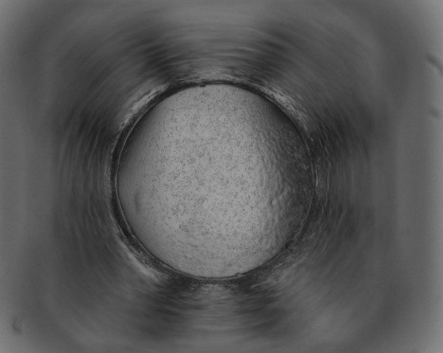 X0000091530390200709071046