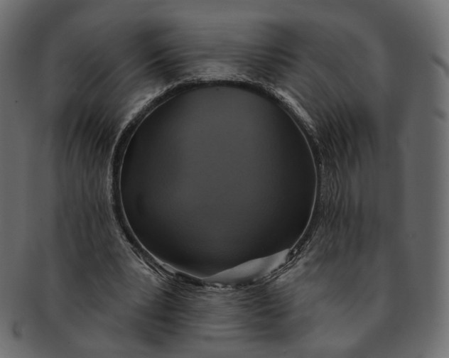 X0000091530391200709071046