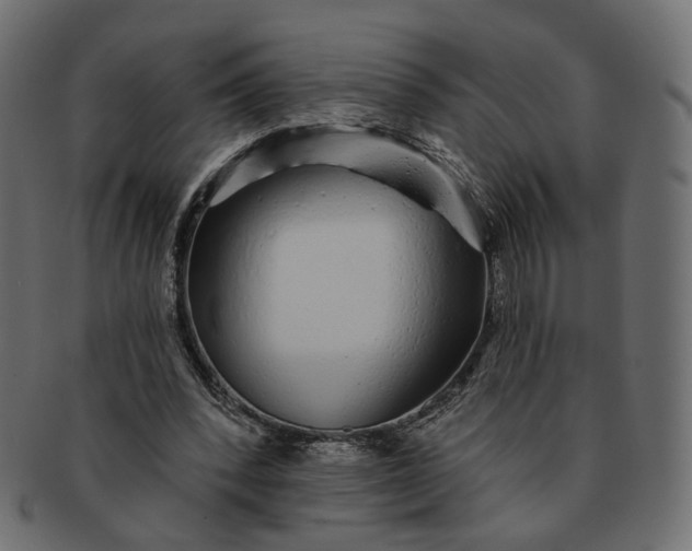 X0000091530392200709071045
