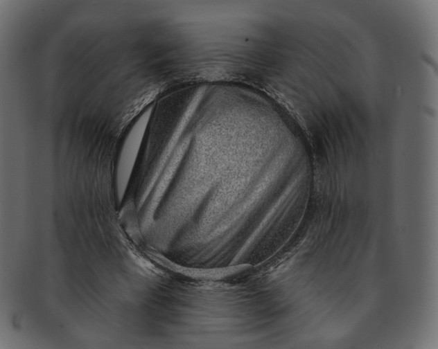 X0000091530393200709071045