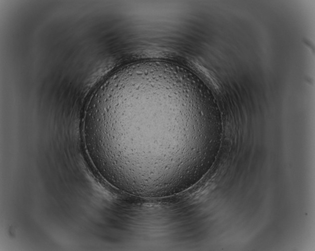 X0000091530394200709071045
