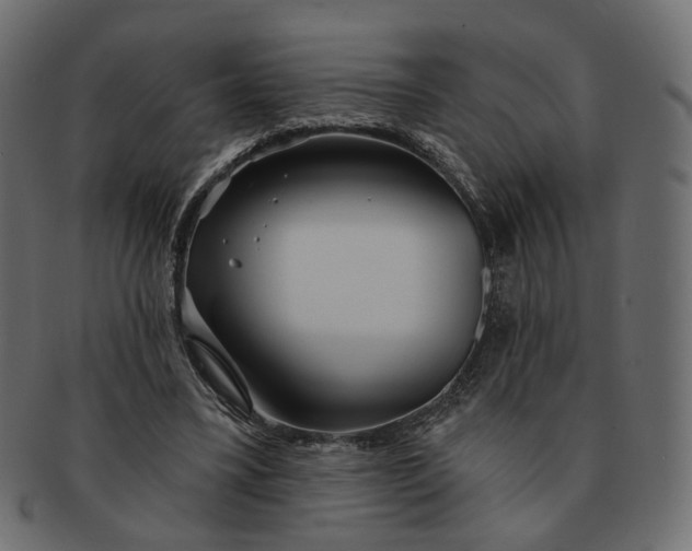 X0000091530395200709071045