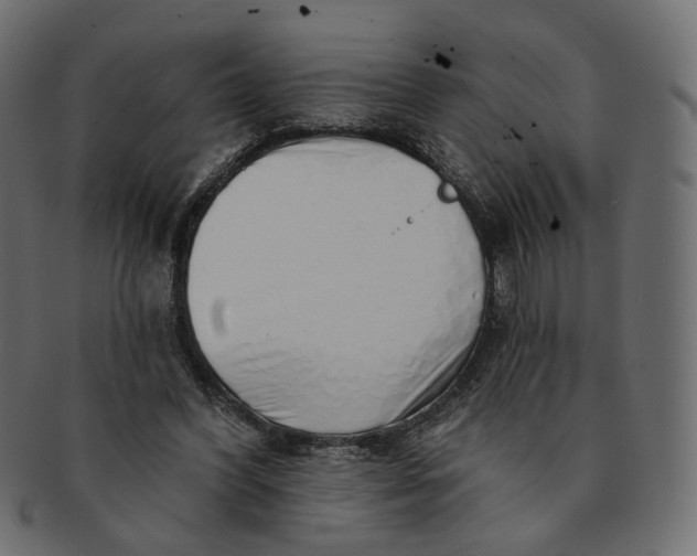 X0000091530396200709071045