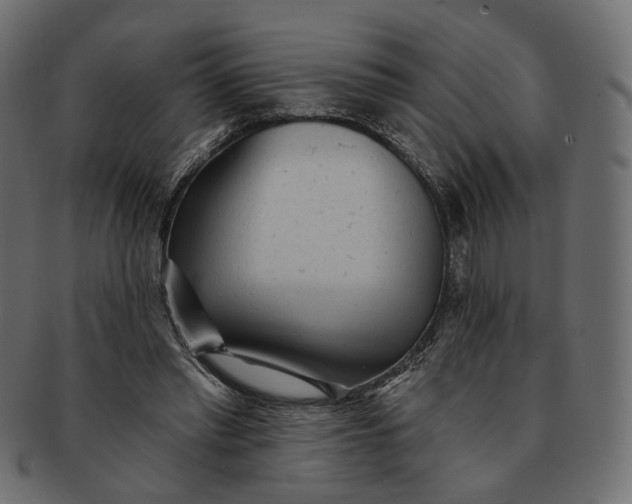X0000091530397200709071045