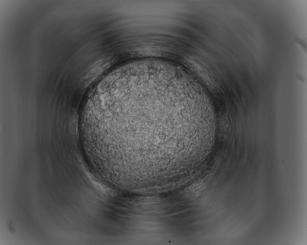 X0000091530398200709071045
