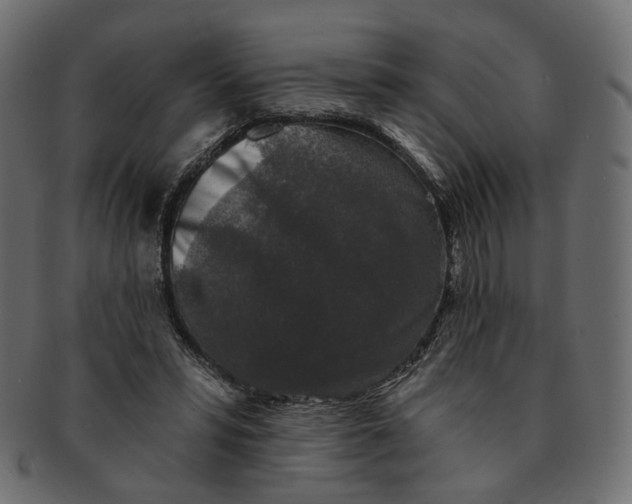 X0000091530399200709071045