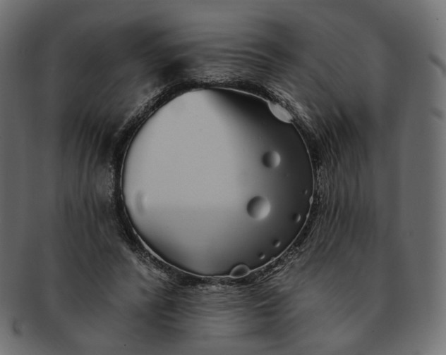 X0000091530400200709071045