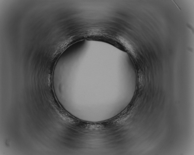 X0000091530401200709071045