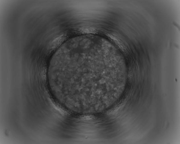 X0000091530402200709071045