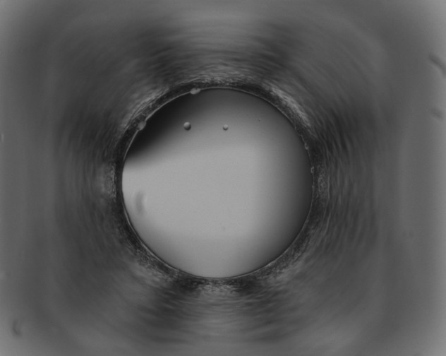X0000091530403200709071045
