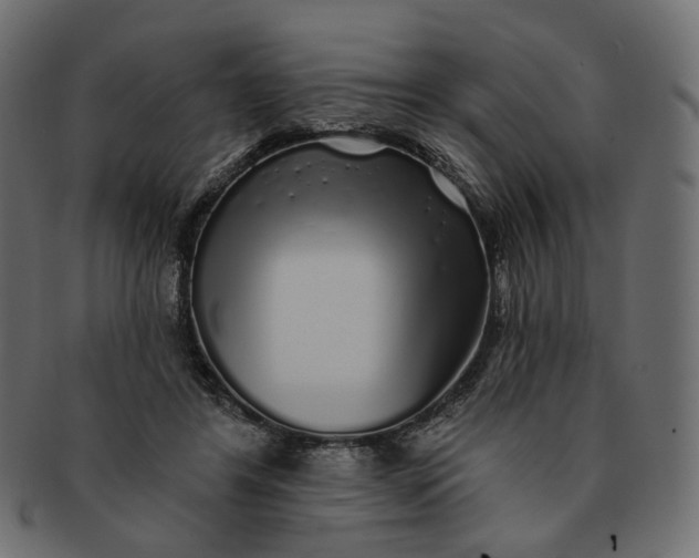 X0000091530404200709071045