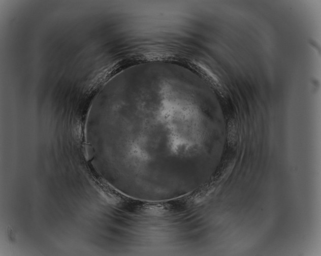 X0000091530405200709071045