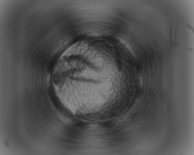 X0000091530406200709071045