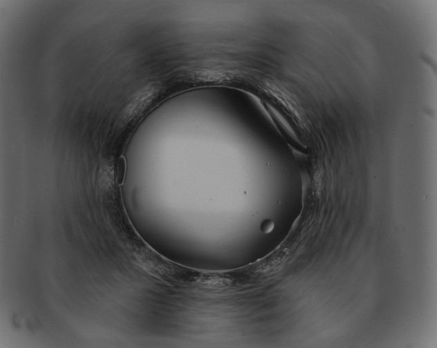 X0000091530407200709071045
