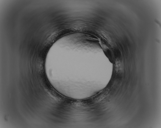 X0000091530408200709071045