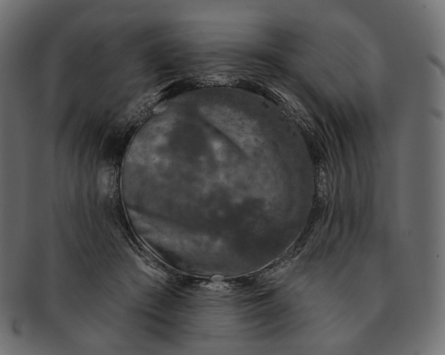 X0000091530409200709071045