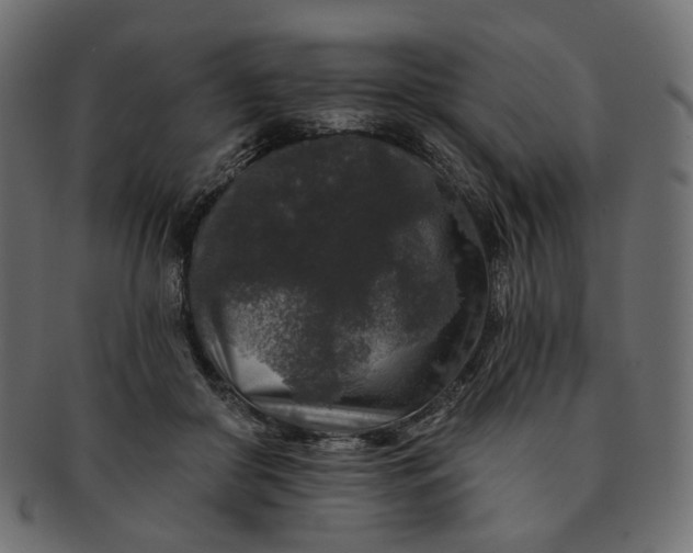 X0000091530410200709071045