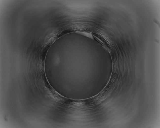 X0000091530411200709071045