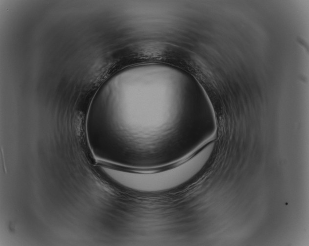 X0000091530412200709071045