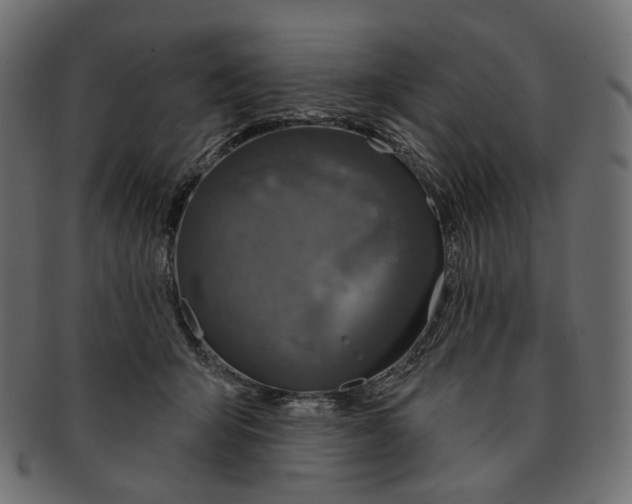 X0000091530415200709071045