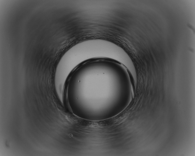 X0000091530416200709071045