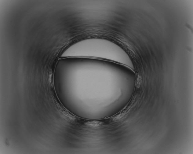 X0000091530417200709071045