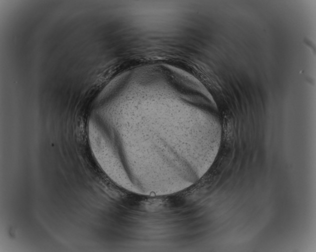 X0000091530418200709071045
