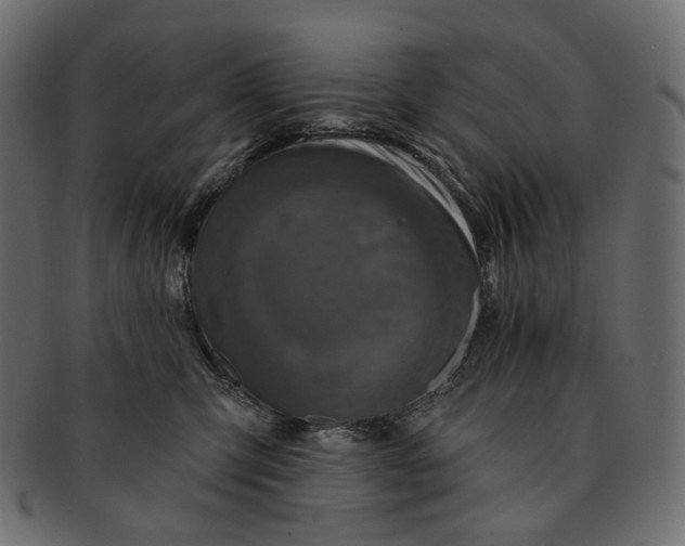X0000091530423200709071045