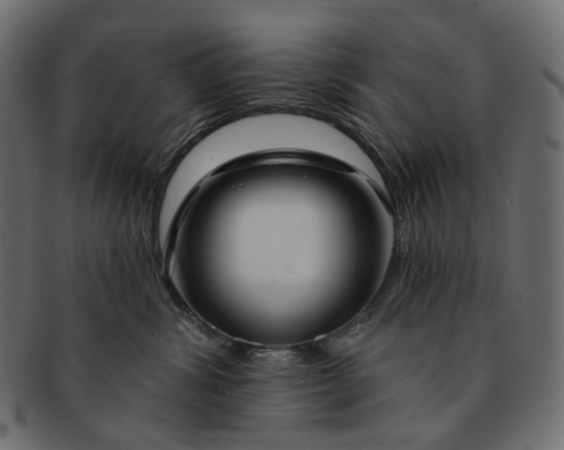 X0000091530428200709071045