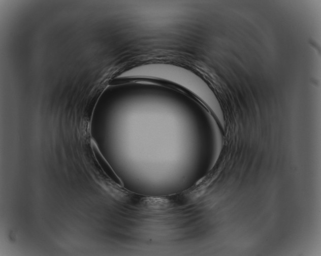 X0000091530429200709071045