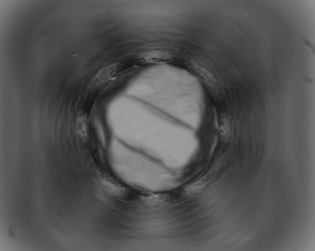 X0000091530430200709071045