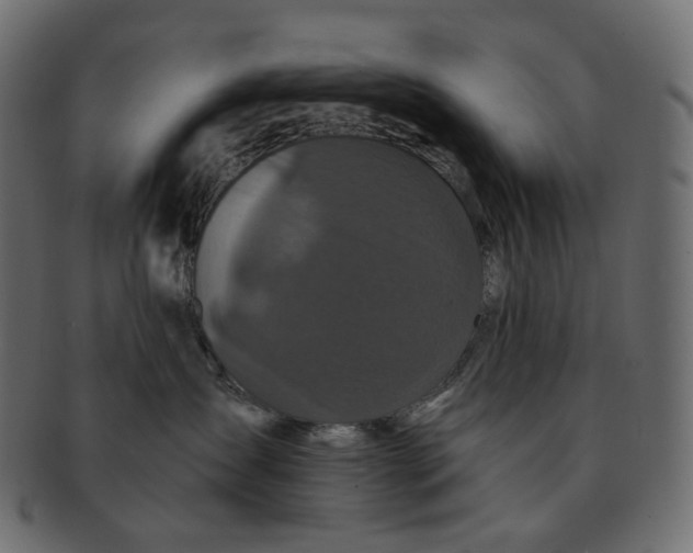 X0000091530431200709071045