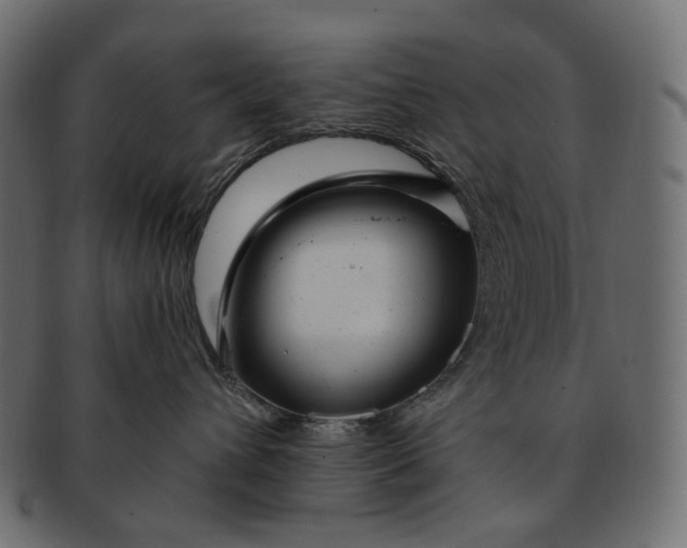 X0000091530432200709071045
