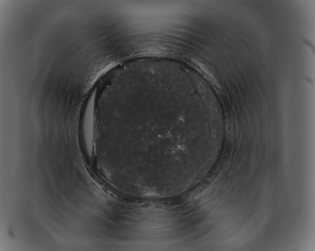 X0000091530434200709071044