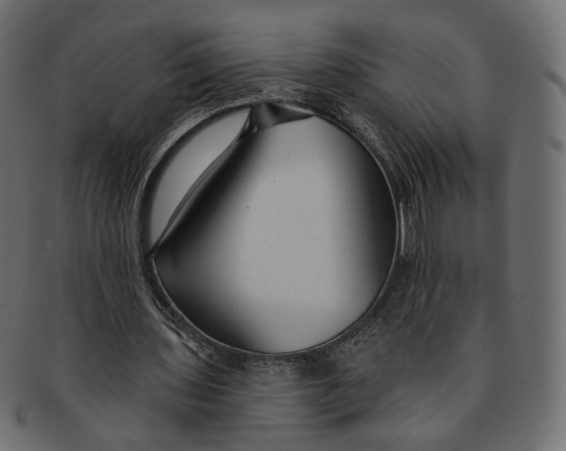 X0000091530435200709071044