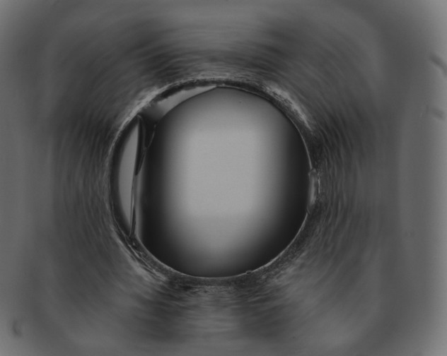 X0000091530436200709071044