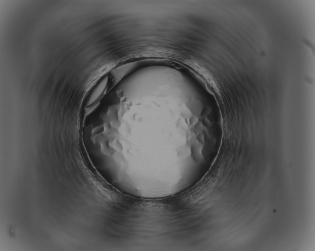 X0000091530437200709071044