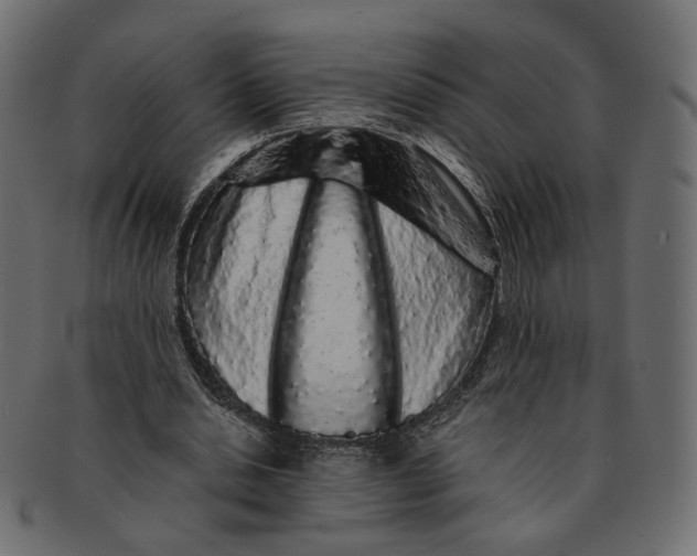 X0000091530438200709071044