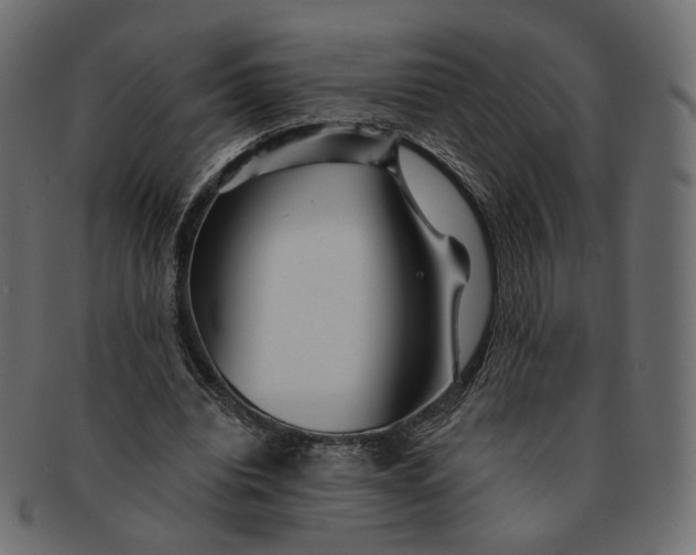 X0000091530440200709071044