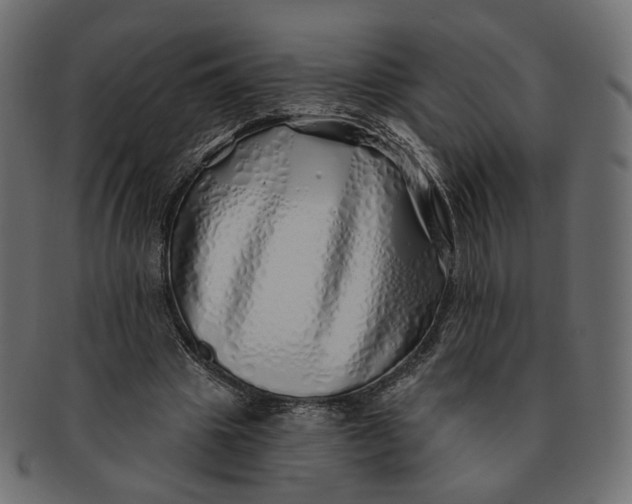 X0000091530441200709071044