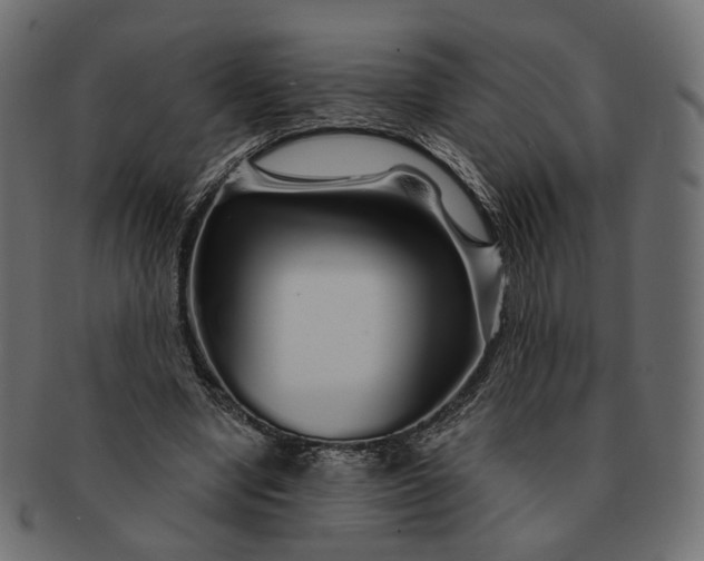 X0000091530442200709071044
