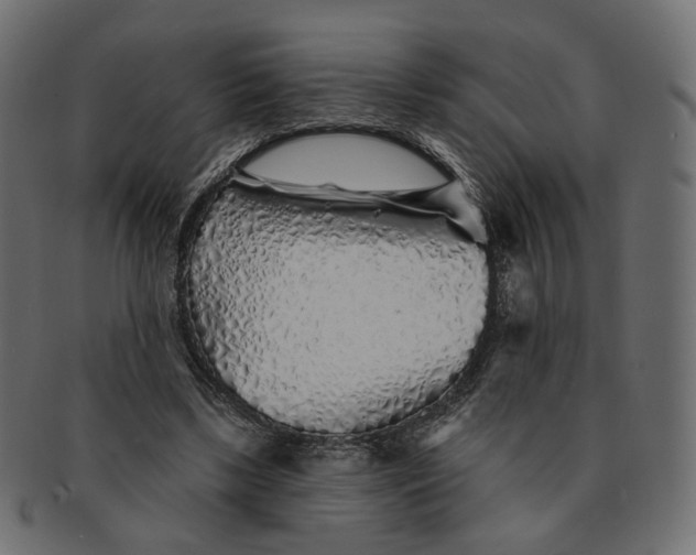 X0000091530443200709071044